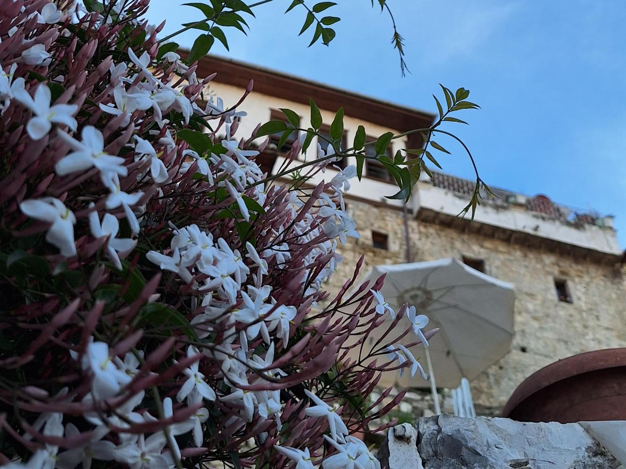 Guesthouse Alvaro Kadiu Berat Esterno foto
